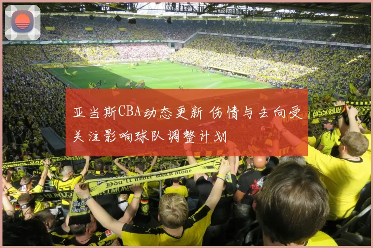 亚当斯CBA动态更新 伤情与去向受关注影响球队调整计划